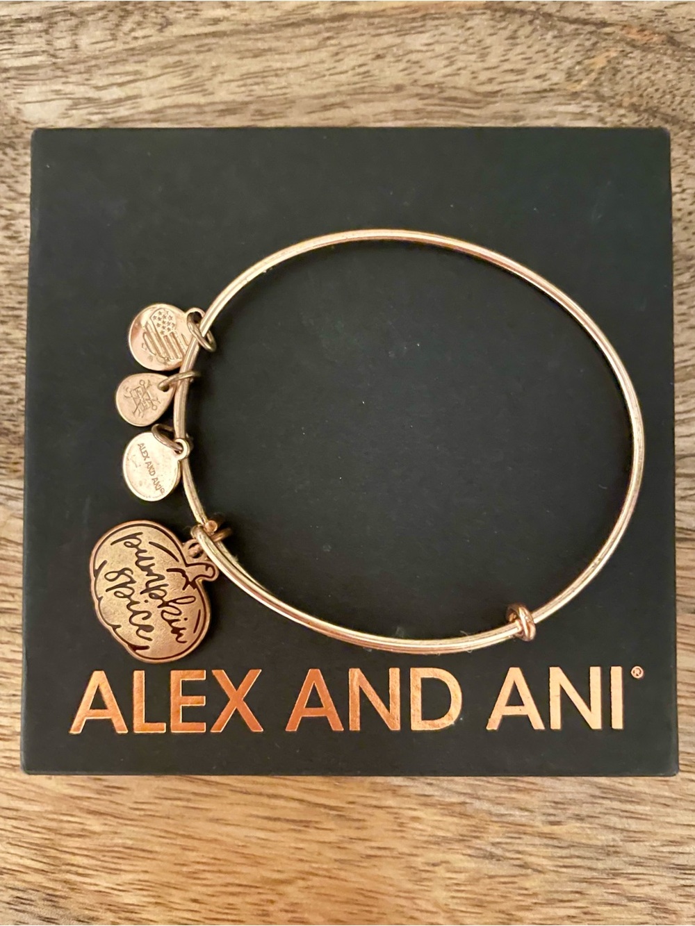 Alex and Ani Pumpkin Spice Charm Bracelet